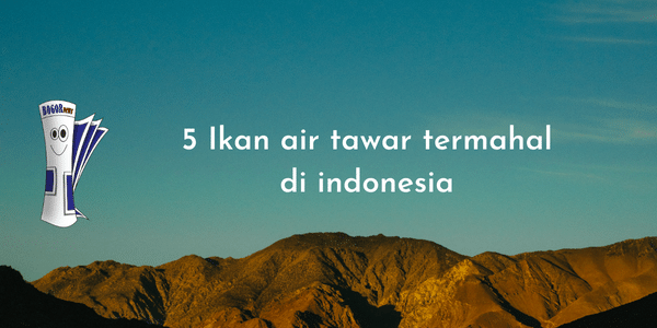 5 Ikan air tawar termahal di indonesia