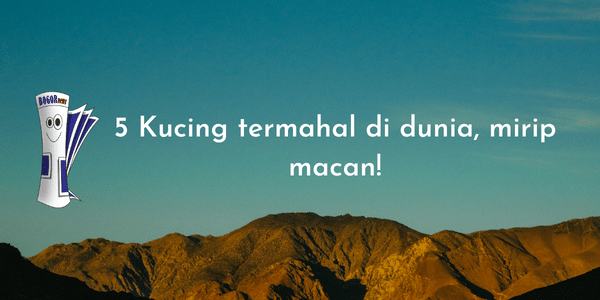 5 Kucing termahal di dunia, mirip macan!