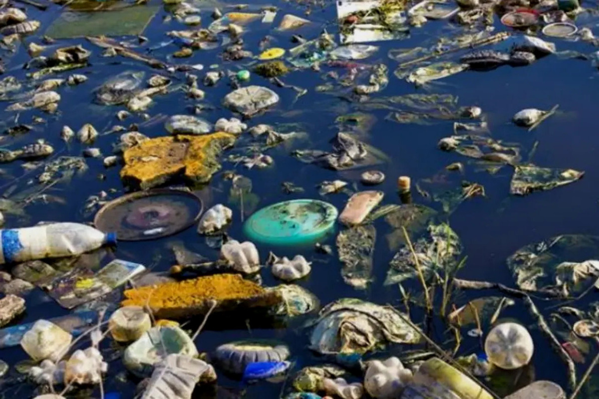 Artikel kali ini membahas mengenai beberapa dampak pencemaran lingkungan untuk kesehatan yang perlu kita pelajari dan pahami.