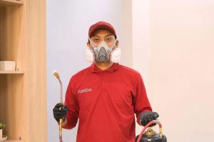 Anti Rayap Bogor Sebagai Jasa Pengendalian Rayap Terpercaya